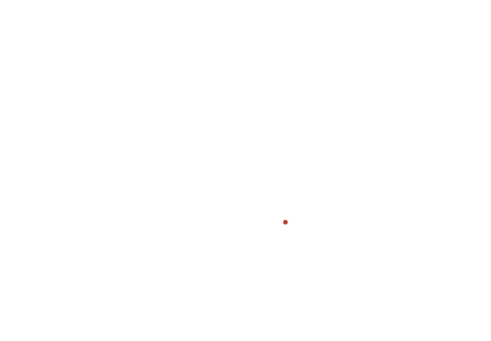 紙單皮（Kamitabi）Sock made of Japanese paper